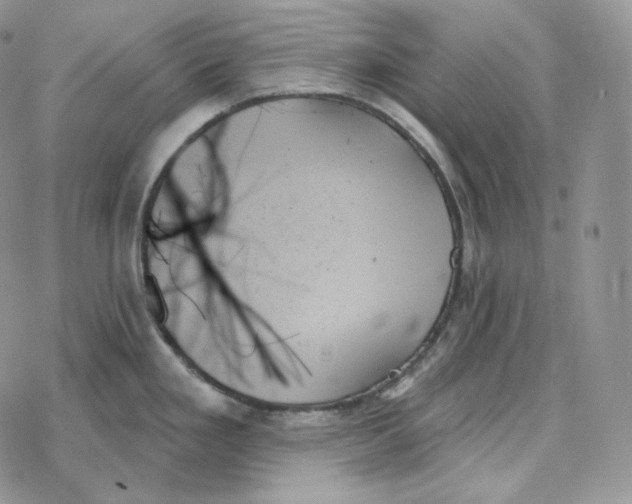 X0000078271293200611251344