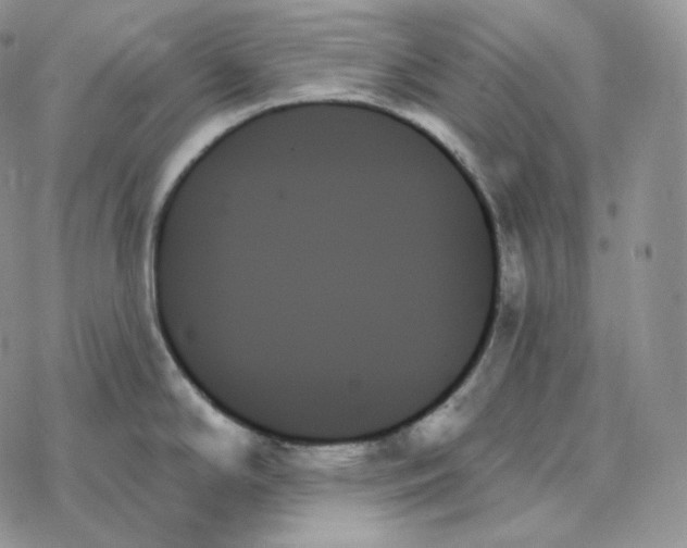 X0000078271294200611251344