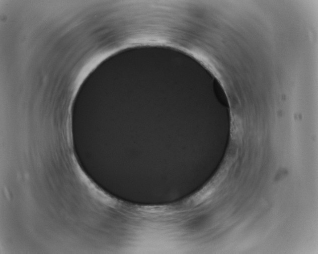 X0000078271295200611251344