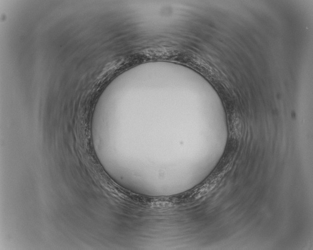 X0000078271297200611251343