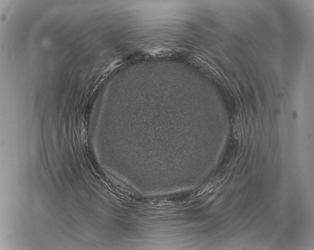 X0000078271298200611251343