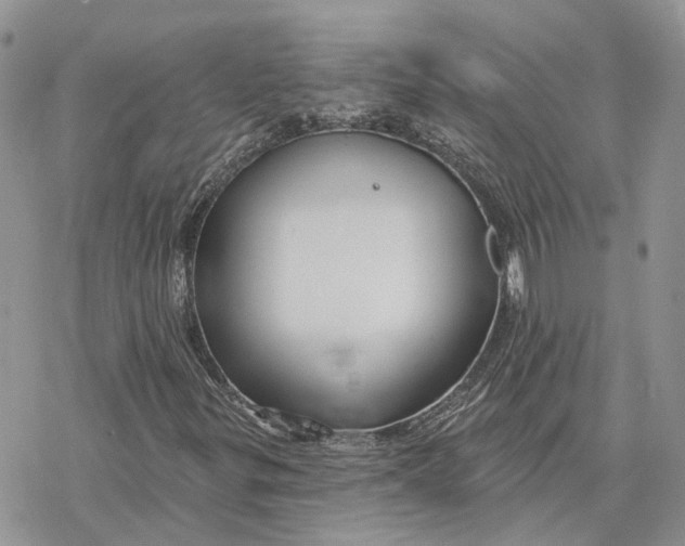 X0000078271299200611251343