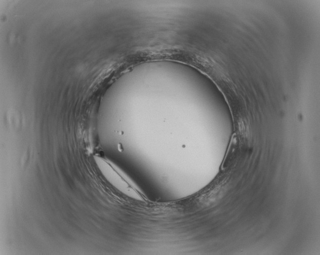 X0000078271300200611251343