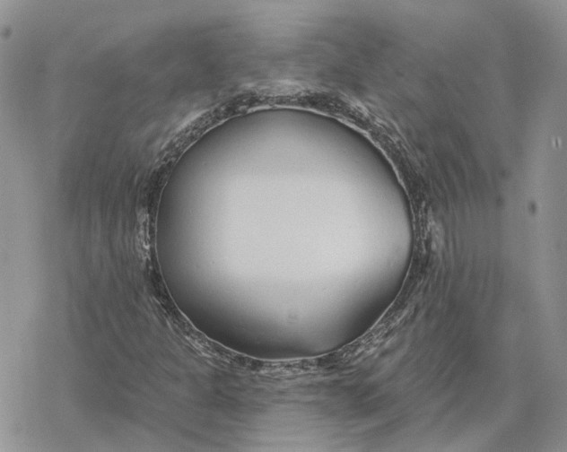 X0000078271301200611251343