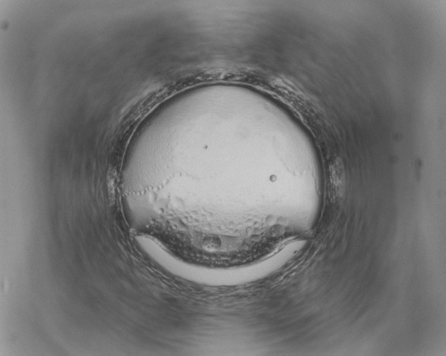 X0000078271302200611251343