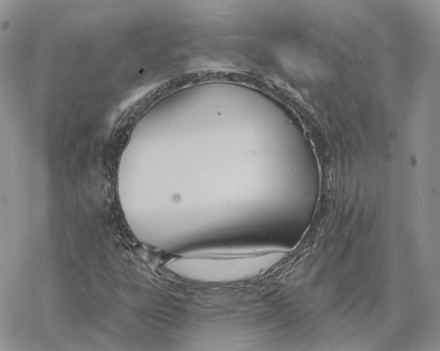 X0000078271303200611251343