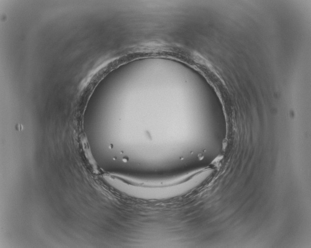 X0000078271304200611251343