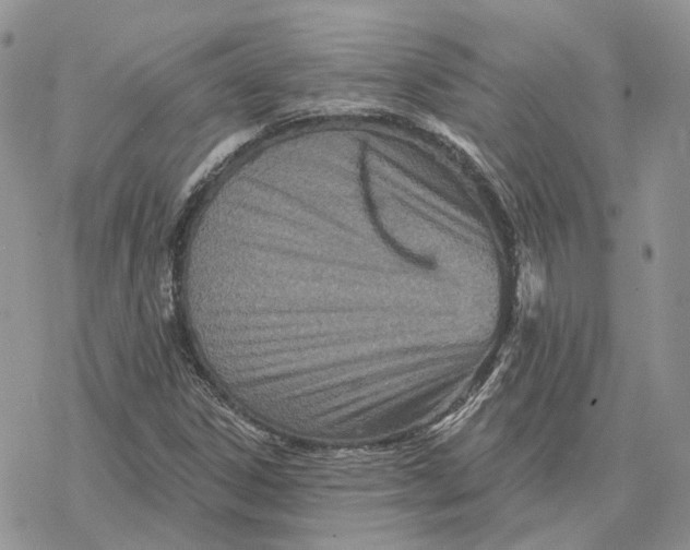 X0000078271306200611251343