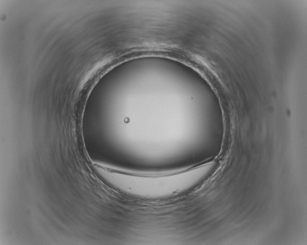 X0000078271307200611251343