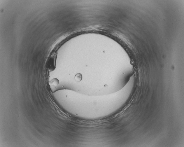 X0000078271308200611251343