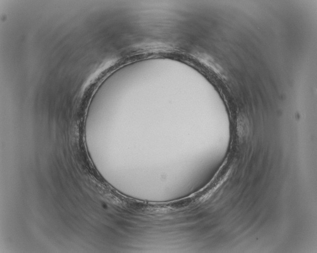 X0000078271309200611251343