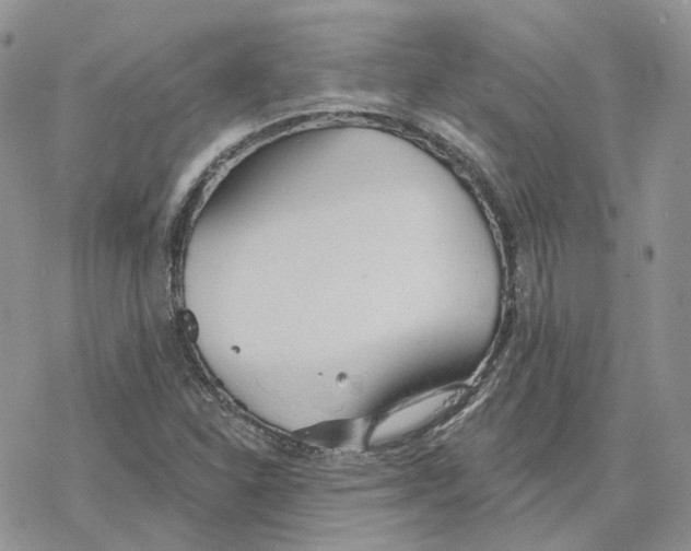 X0000078271310200611251343