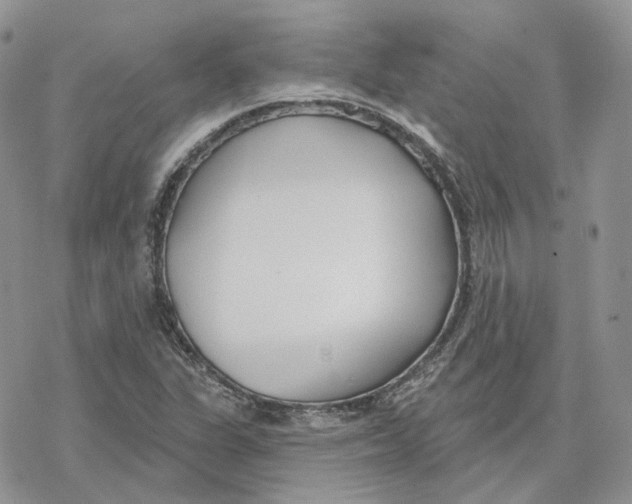 X0000078271311200611251343