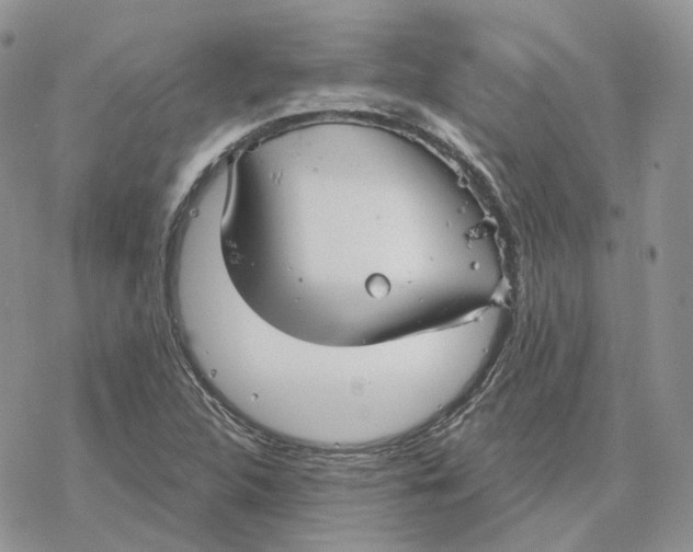 X0000078271312200611251343