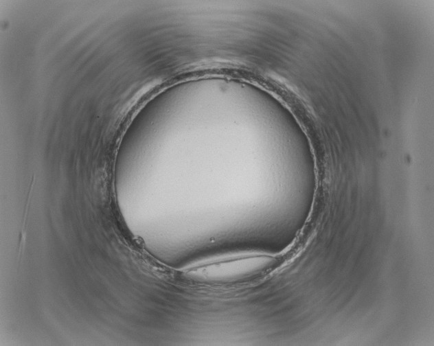 X0000078271313200611251343