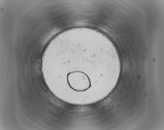 X0000078271314200611251343