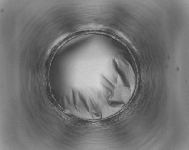 X0000078271315200611251343