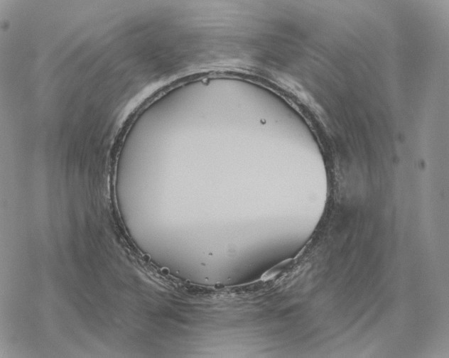 X0000078271316200611251343