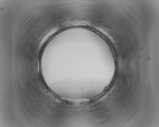 X0000078271317200611251343