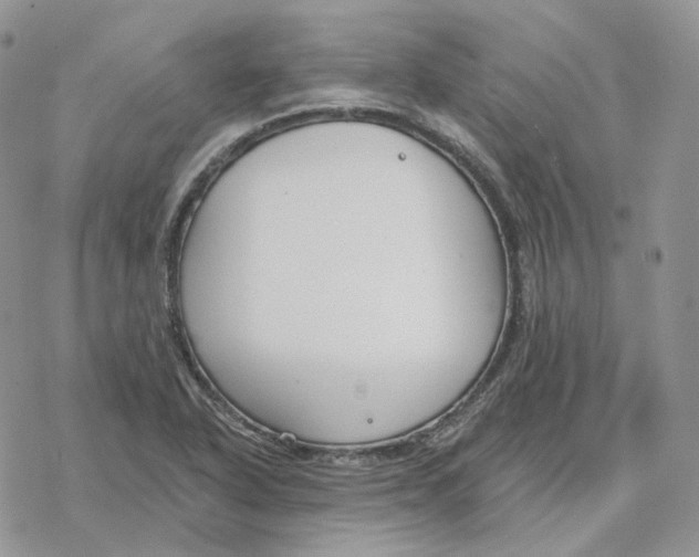 X0000078271318200611251343