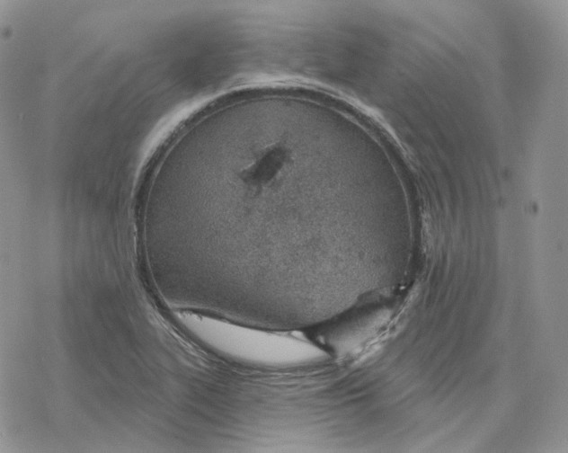 X0000078271319200611251343