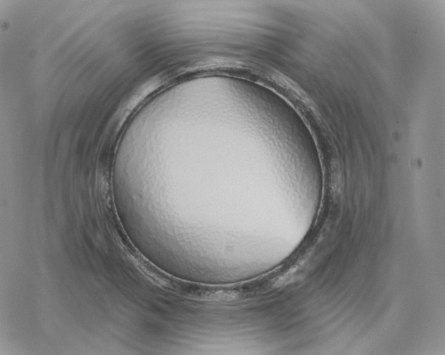 X0000078271321200611251343