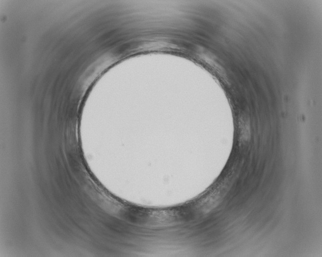 X0000078271322200611251343