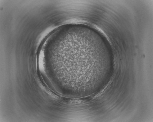 X0000078271323200611251344