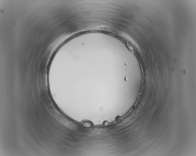 X0000078271324200611251344