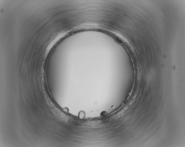 X0000078271325200611251344