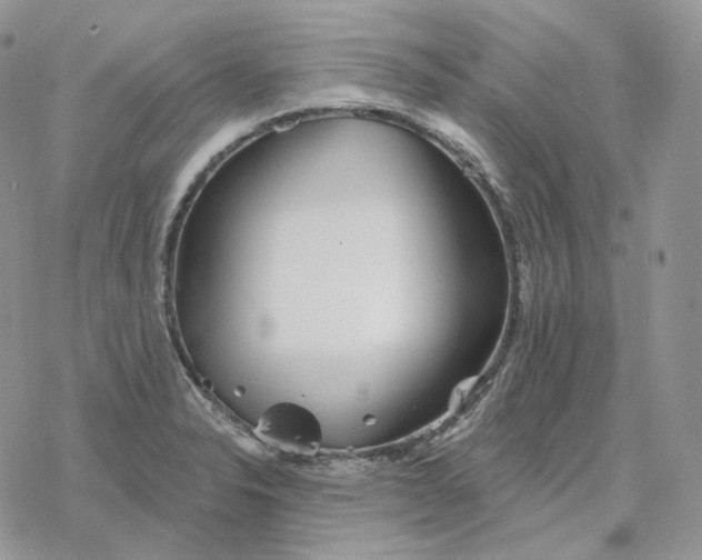 X0000078271326200611251344