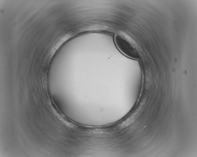 X0000078271329200611251344