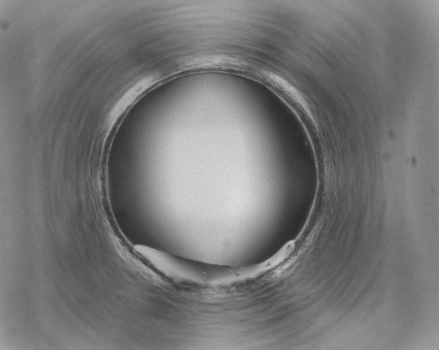 X0000078271330200611251344