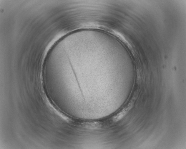 X0000078271331200611251344