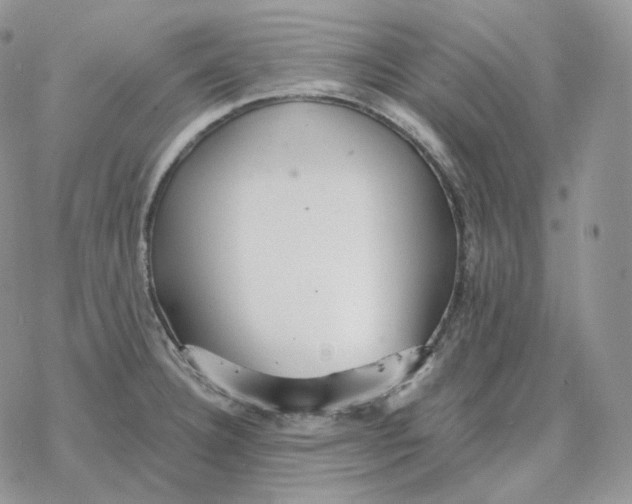 X0000078271332200611251344