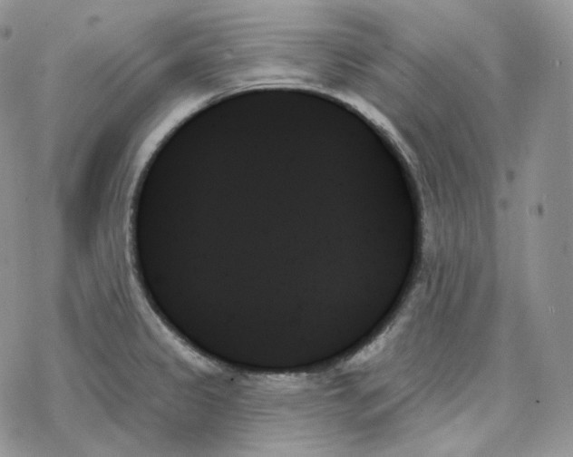 X0000078271333200611251344