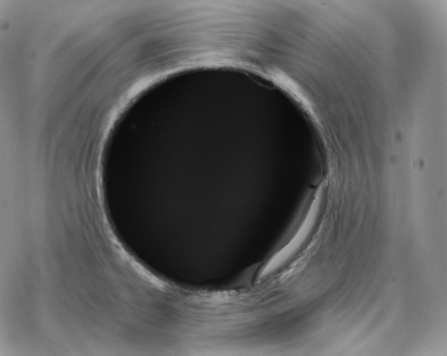 X0000078271334200611251344