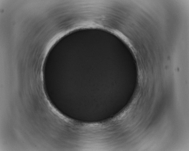 X0000078271335200611251344