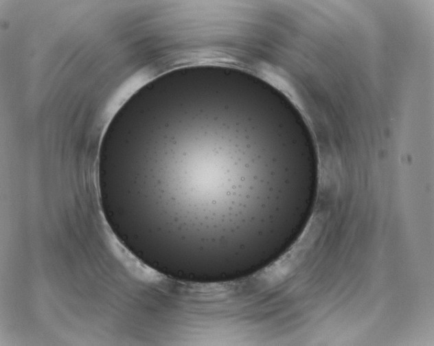 X0000078271338200611251344