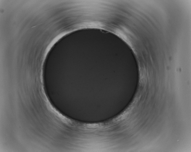 X0000078271339200611251344