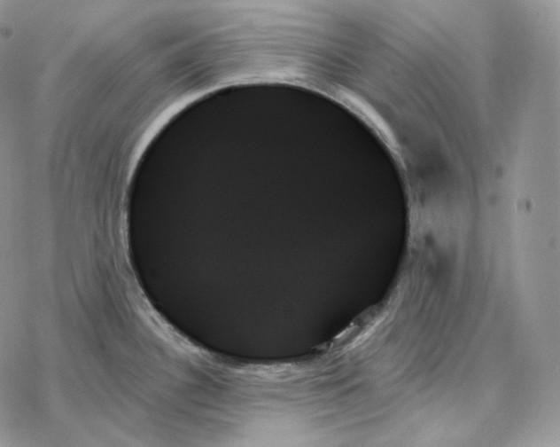 X0000078271340200611251344