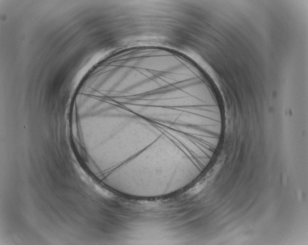 X0000078271341200611251344