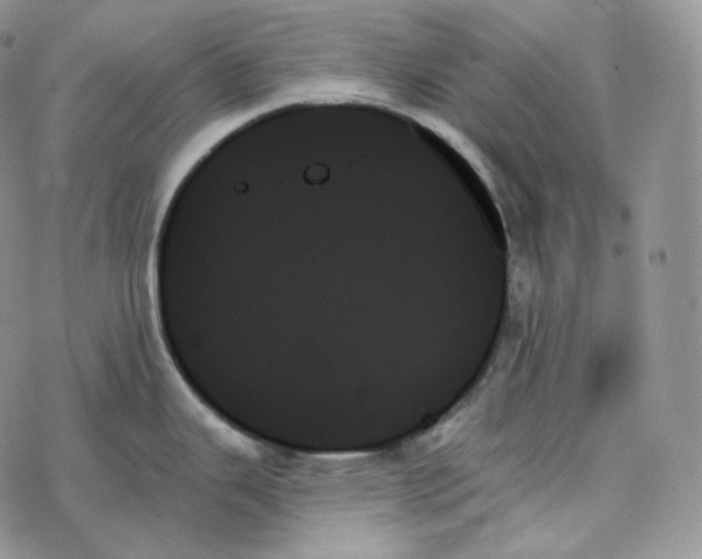 X0000078271343200611251344