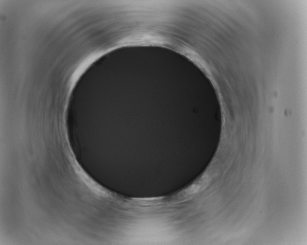 X0000078271344200611251344