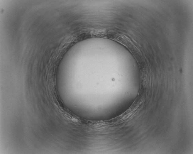 X0000078271345200611251343