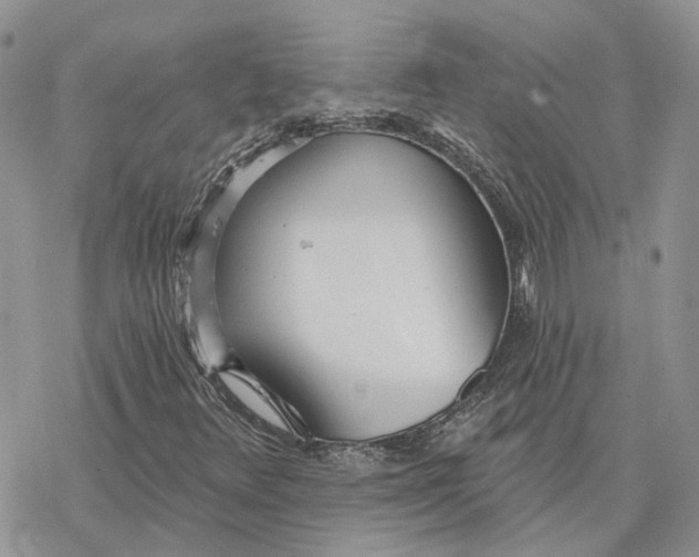 X0000078271348200611251343