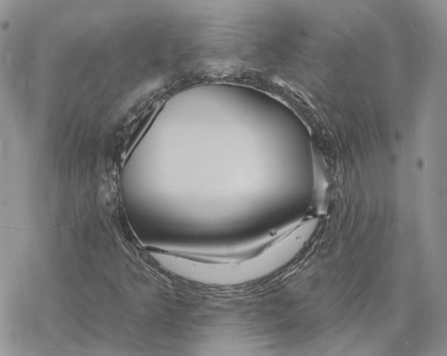 X0000078271349200611251343