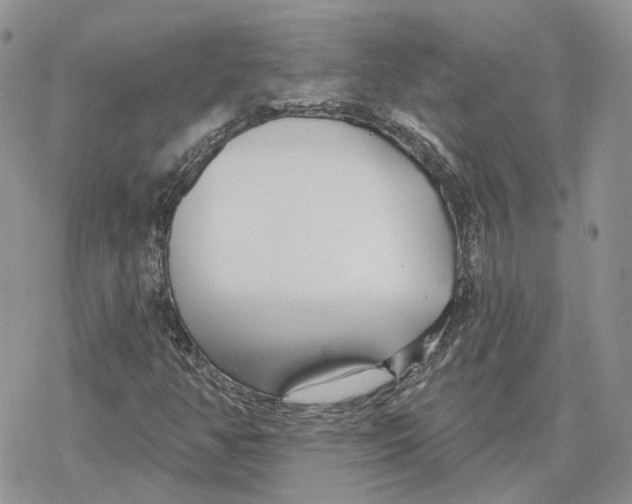 X0000078271350200611251343