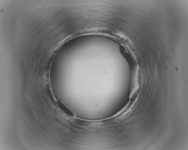 X0000078271353200611251343