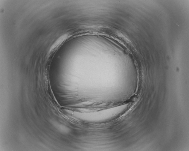 X0000078271354200611251343